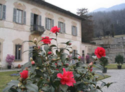 Fiori camelie a villa bozzolo