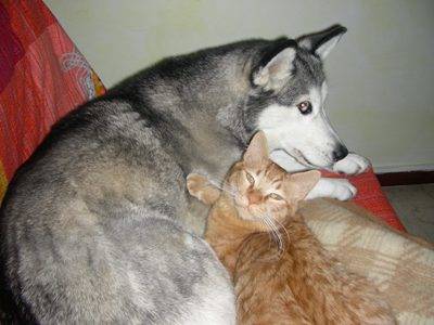 Isidoro & Smilla