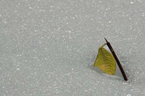 Neve?