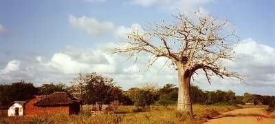 Samburu