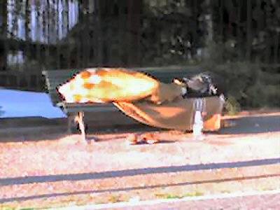 Albergo a cielo aperto