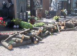 alberi abbattuti cimitero busto arsizio aprile 2007