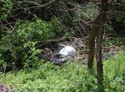 Bregazzana discarica abusiva