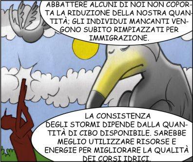Cormorani 10