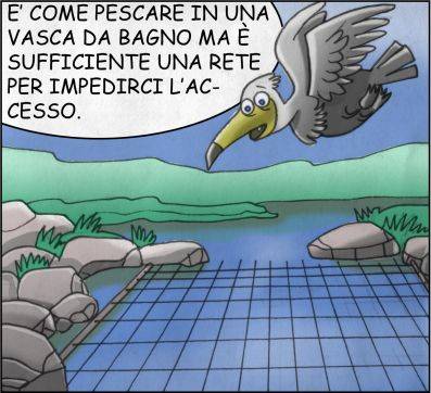 Cormorani 4