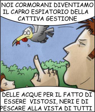 Cormorani 9