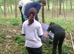 pulizia boschi orino