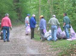 pulizia boschi orino