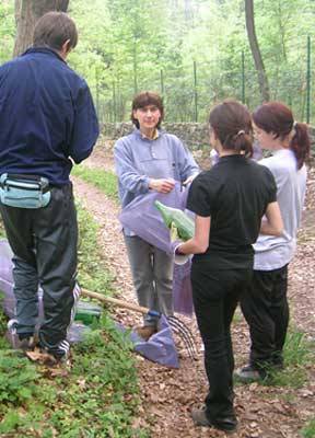 pulizia boschi orino