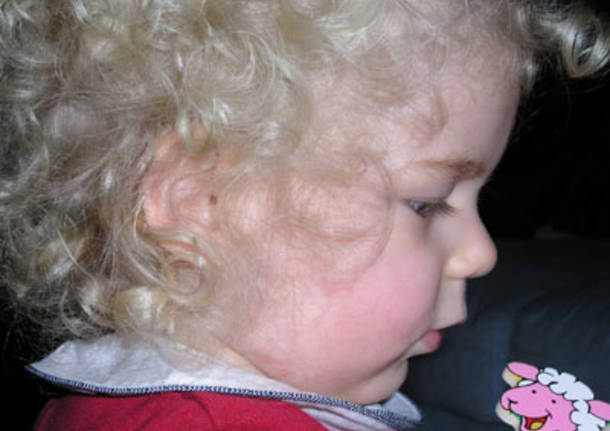 Agnellini in colloquio