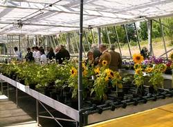 inaugurazione serre corso florovivaista floricoltore agenzia formativa varese