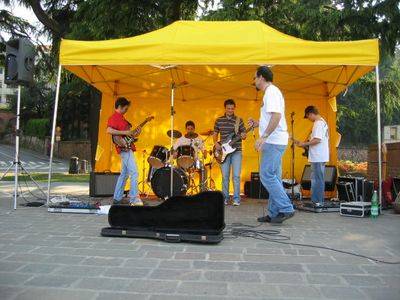 Mississippi Alligators