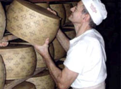 grana padano