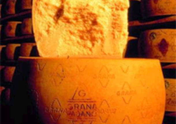 grana padano