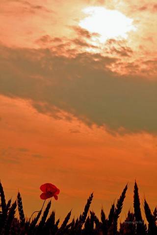 Nel rosso...