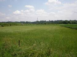 Sinti Gallarate campo nomadi