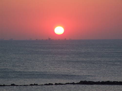 alba 3