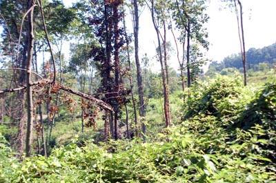 bosco_varese_via_boderi