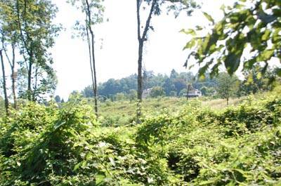 bosco_varese_via_boderi