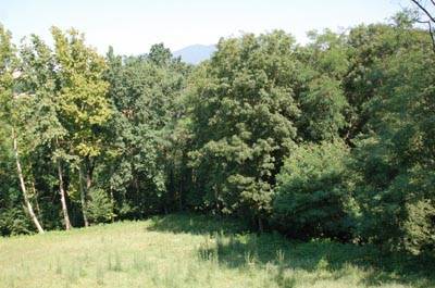 bosco_varese_via_boderi