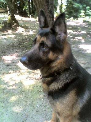Max