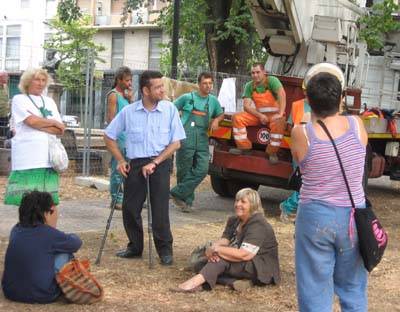 alberi piazza risorgimento gallarate