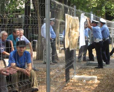 alberi piazza risorgimento gallarate