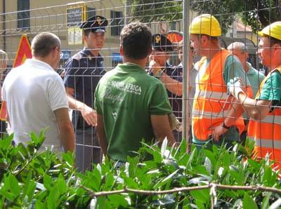 alberi piazza risorgimento gallarate