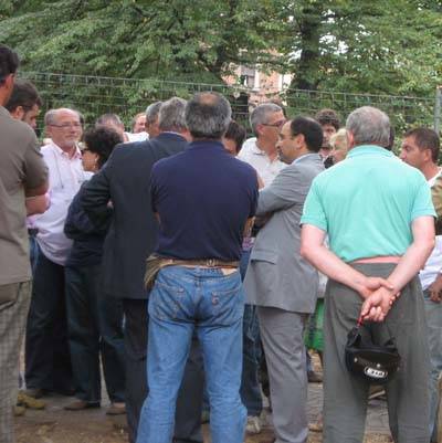 alberi piazza risorgimento gallarate