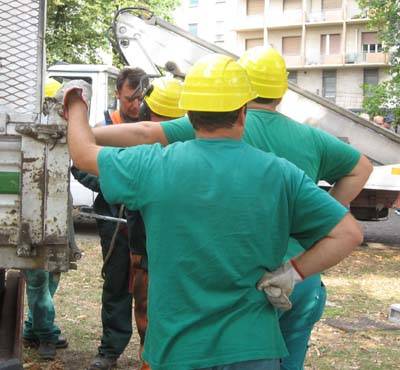 alberi piazza risorgimento gallarate