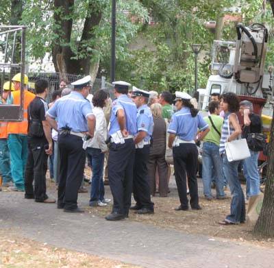 alberi piazza risorgimento gallarate