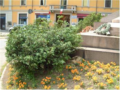 corone garibaldi