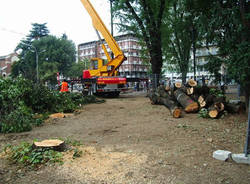 platani gallarate morandi