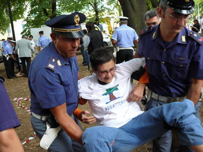 platani risorgimento gallarate