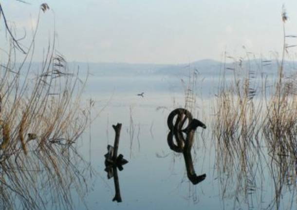 Riflessi sul lago di Varese