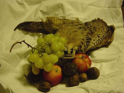 Autunno