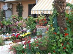 balconi fioriti