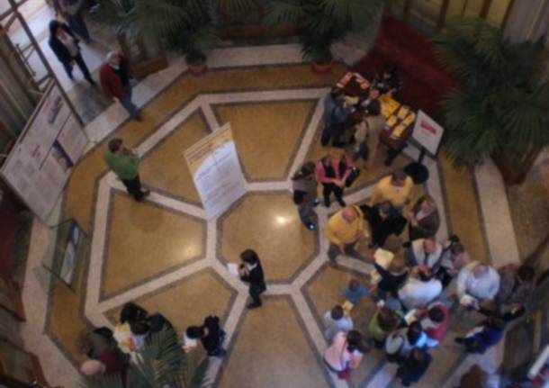 Creatività in volata