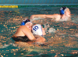 pallanuoto von bologna bujika