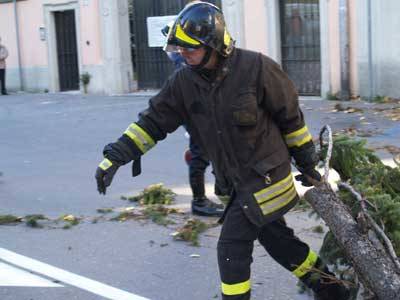 cedro libano varese