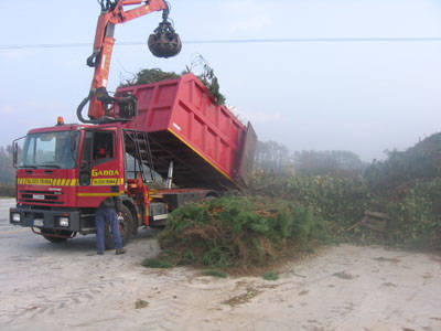 compostaggio tradate