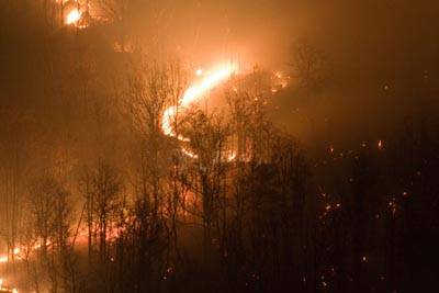 incendio alpe tedesco