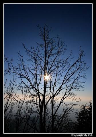...Spoglio...