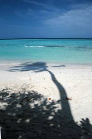 Maldive