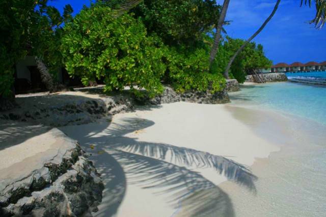 Maldive
