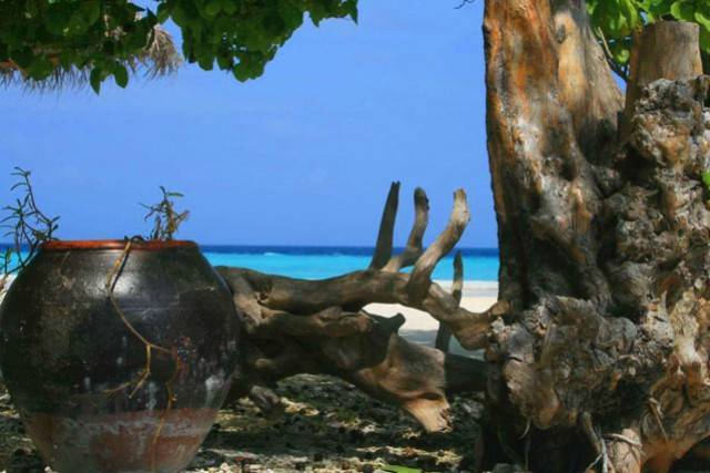 Maldive