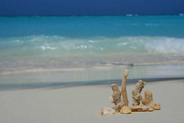 Maldive