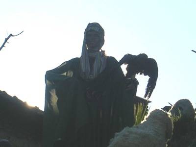 presepe morazzone