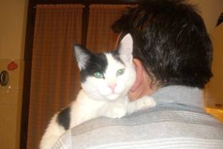 CHICCO