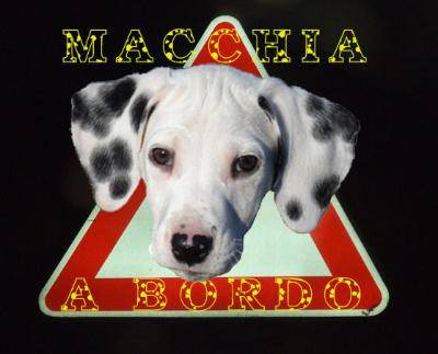 Macchia
